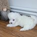 Bichon Maltez catei.